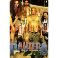 Pantera 1